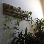 άρτεμις Πανσιόν
