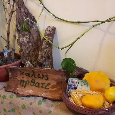 Guest house Artemis Karpenisi