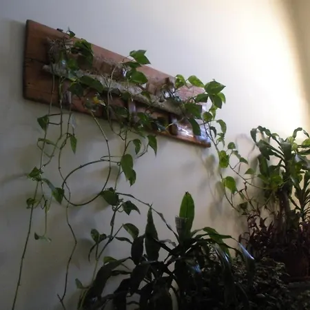 Artemis Guest house