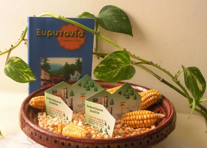 Πανσιόν άρτεμις Καρπενήσι