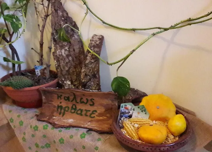 Πανσιόν άρτεμις Καρπενήσι