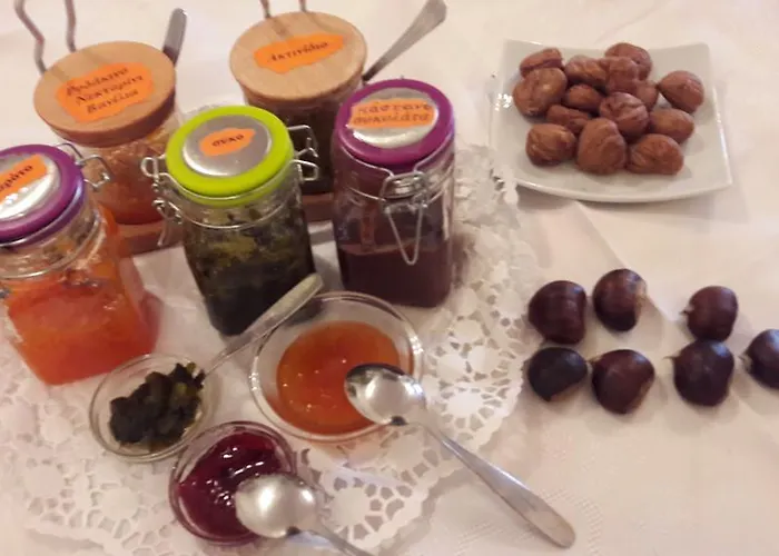 Πανσιόν άρτεμις Καρπενήσι