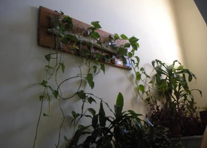 άρτεμις Πανσιόν